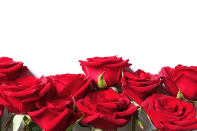 Photo of Beautiful red rose flowers on white background, top view