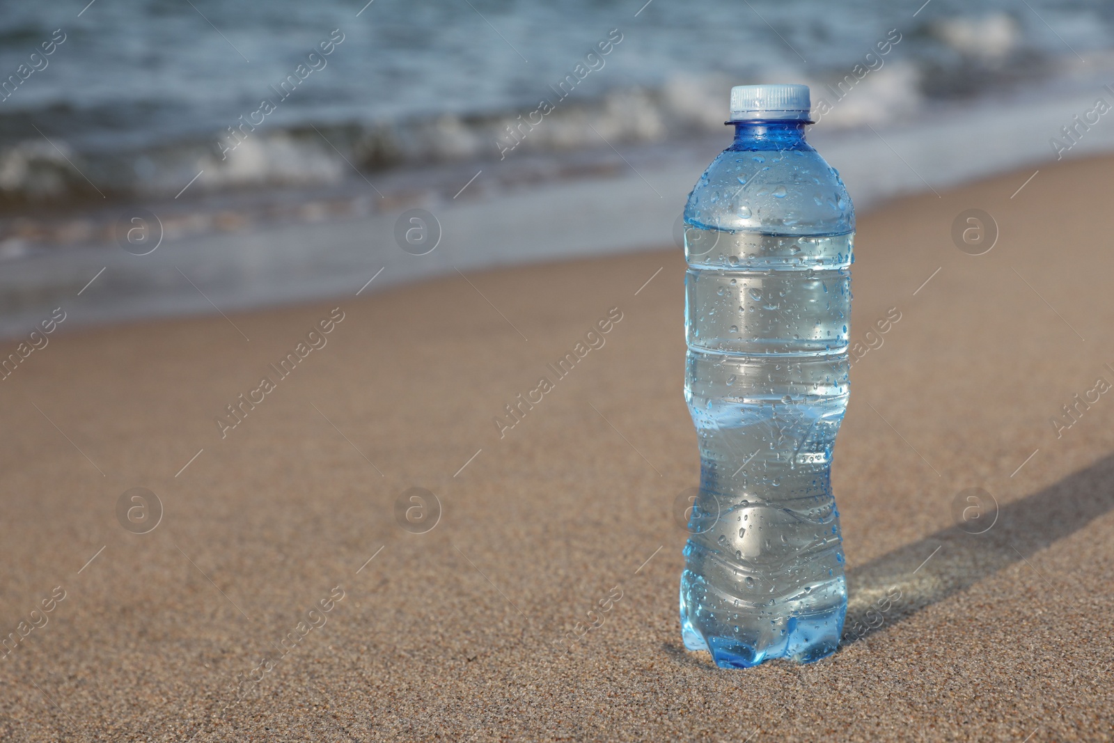 Photo of Plastic bottle of fresh water on wet sand near sea. Space for text