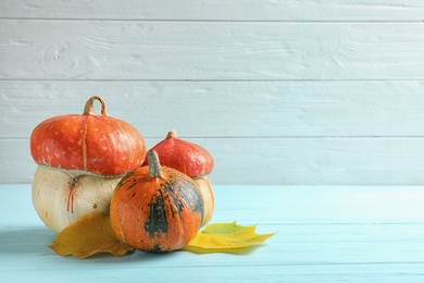 Photo of Different pumpkins with space for text against wooden wall. Autumn holidays