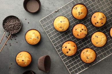 Photo of Delicious freshly baked muffins with chocolate chips on gray table, flat lay