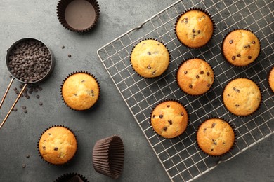 Delicious freshly baked muffins with chocolate chips on gray table, flat lay