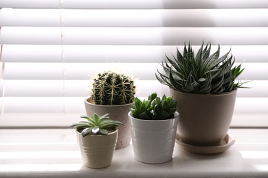 Beautiful different cacti in pots on windowsill indoors