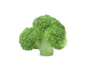 Fresh raw green broccoli isolated on white