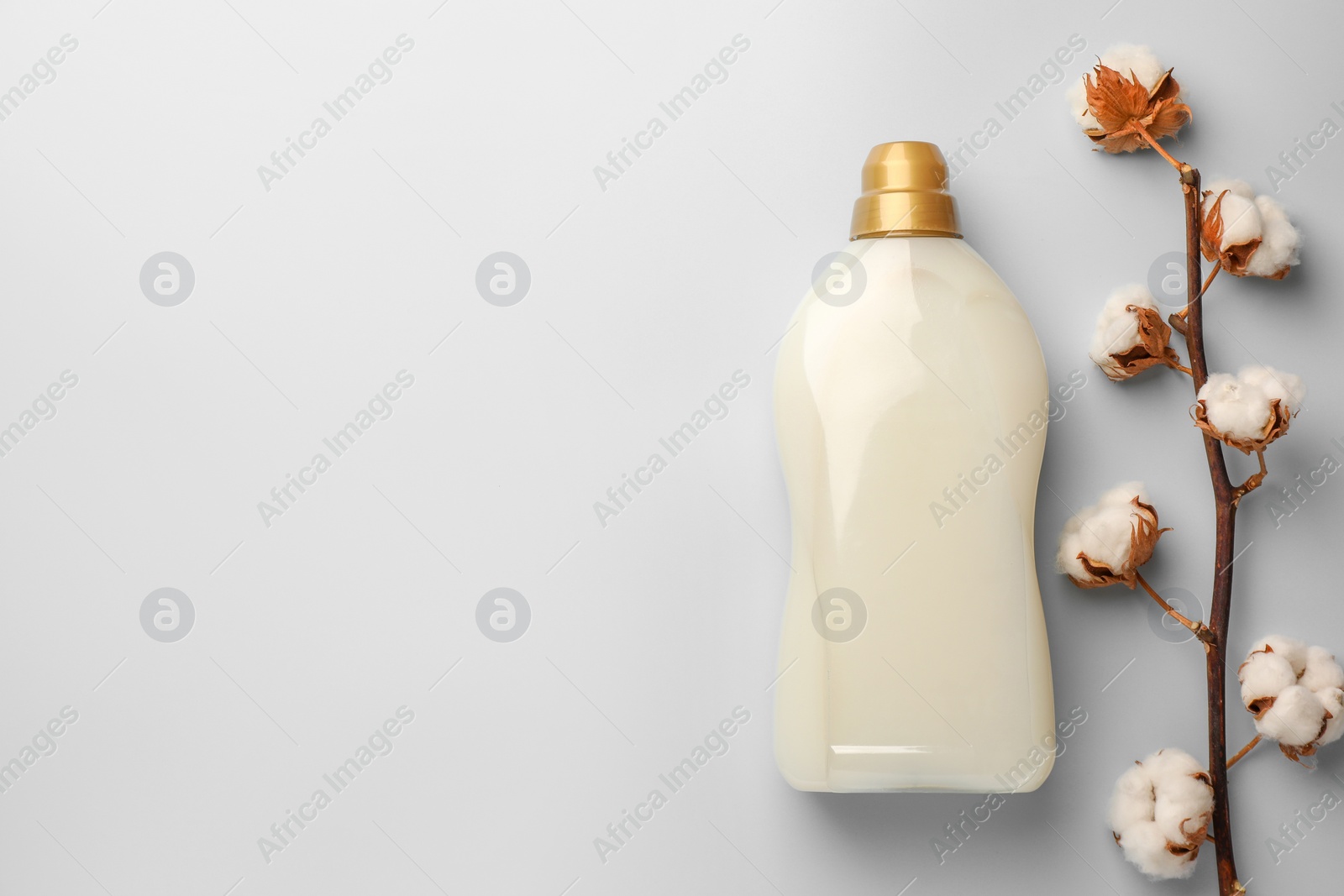 Bottle of fabric softener and branch with fluffy cotton flowers on light background, flat lay. Space for text Photo of Bottle of fabric softener and branch with fluffy cotton flowers on light background, flat lay. Space for text