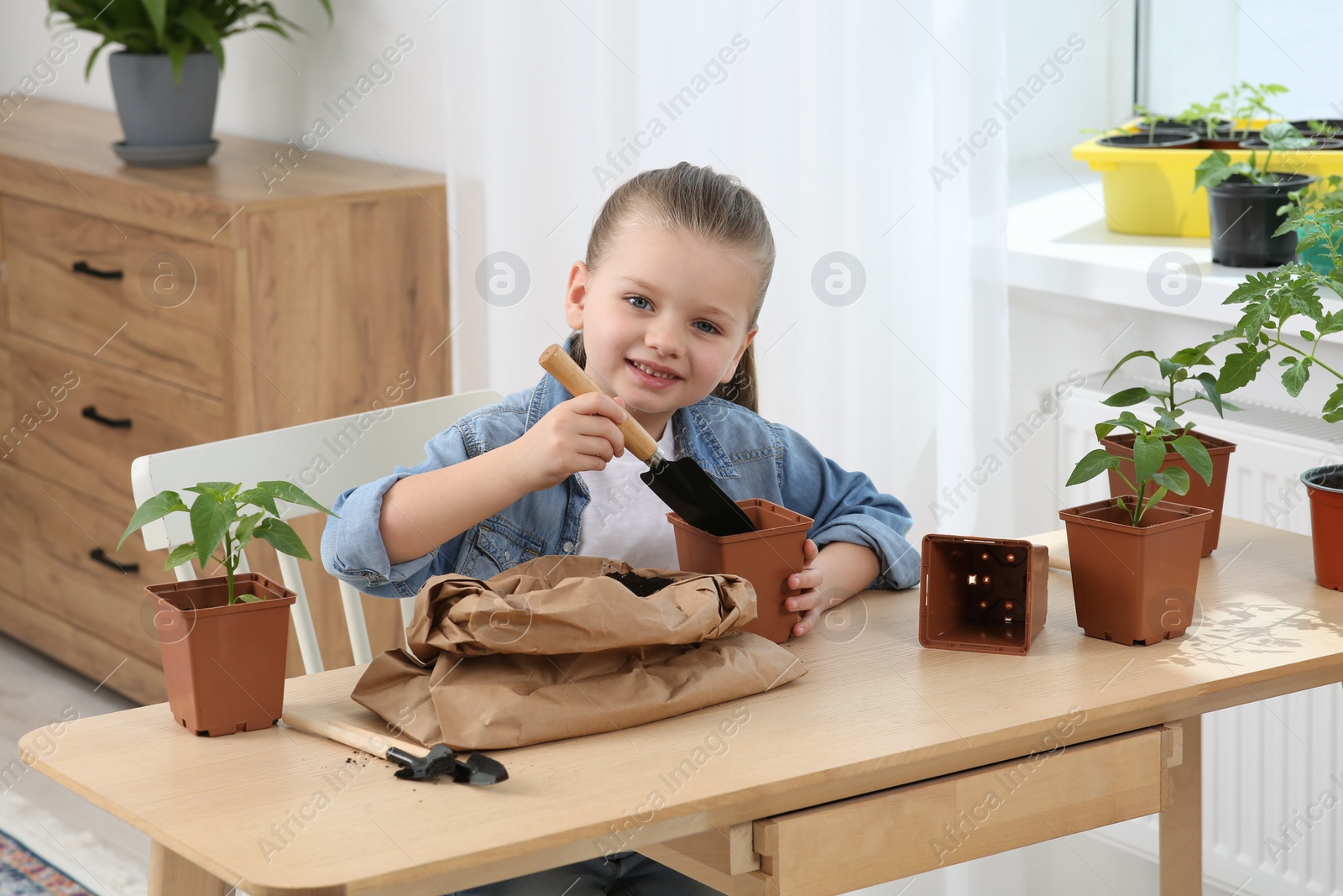 Photo of Cute little girl planting seedling into pot at wooden table in room