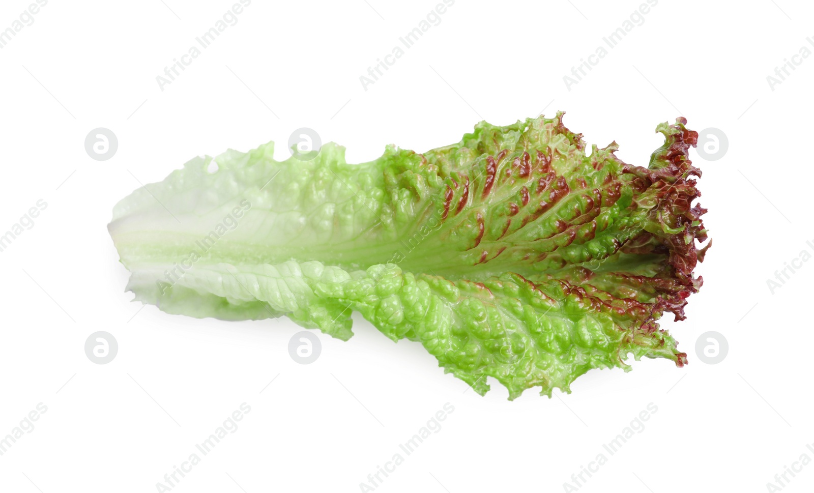 Photo of Leaf of fresh red coral lettuce isolated on white, top view