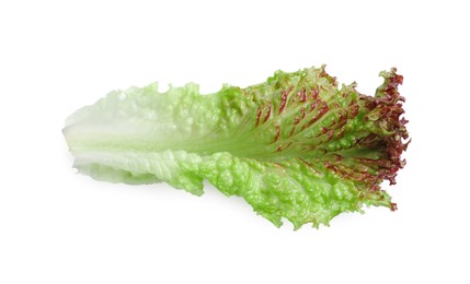 Leaf of fresh red coral lettuce isolated on white, top view