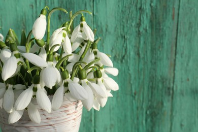Beautiful snowdrops in vase near green fence, closeup. Space for text