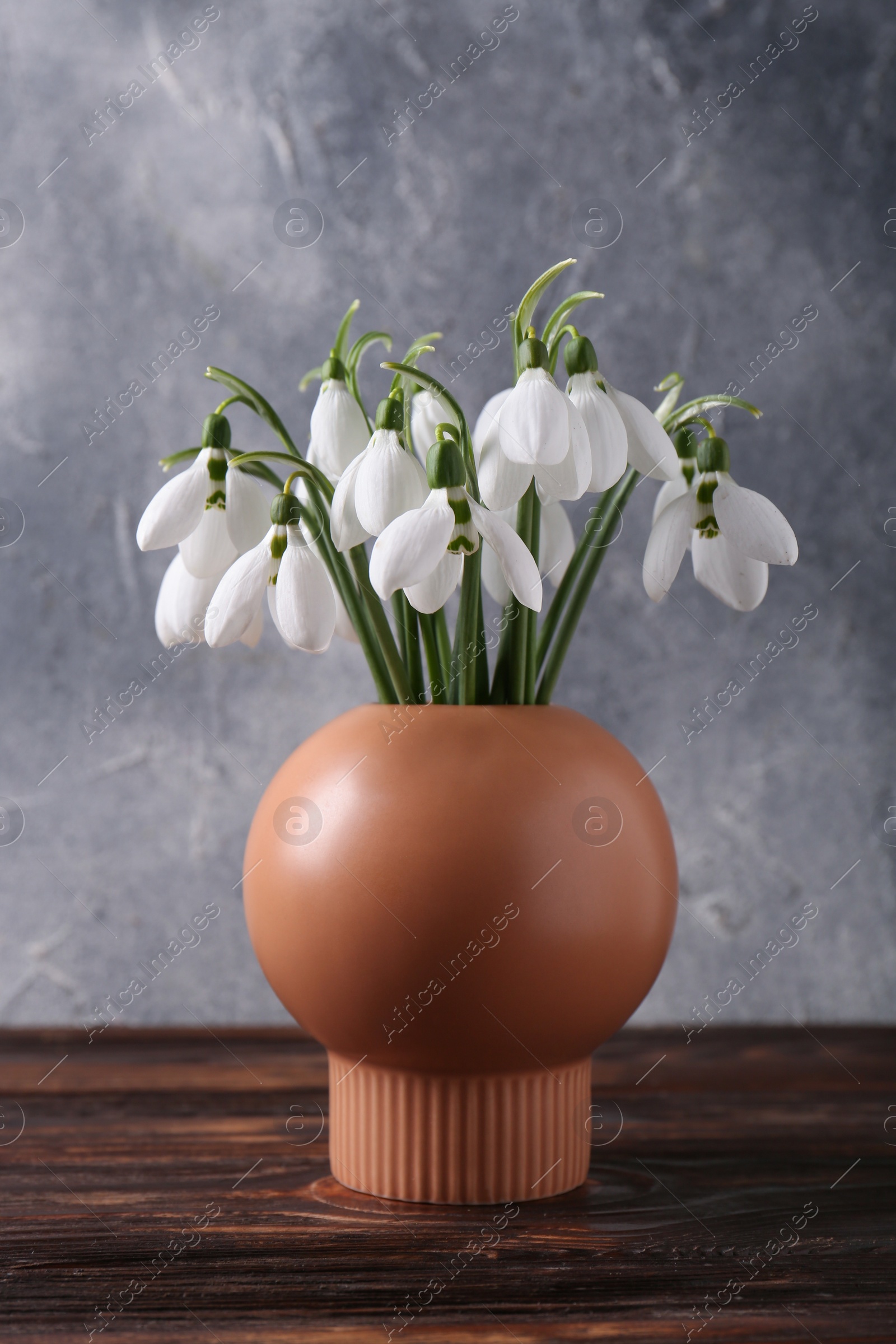 Photo of Beautiful snowdrops in vase on wooden table