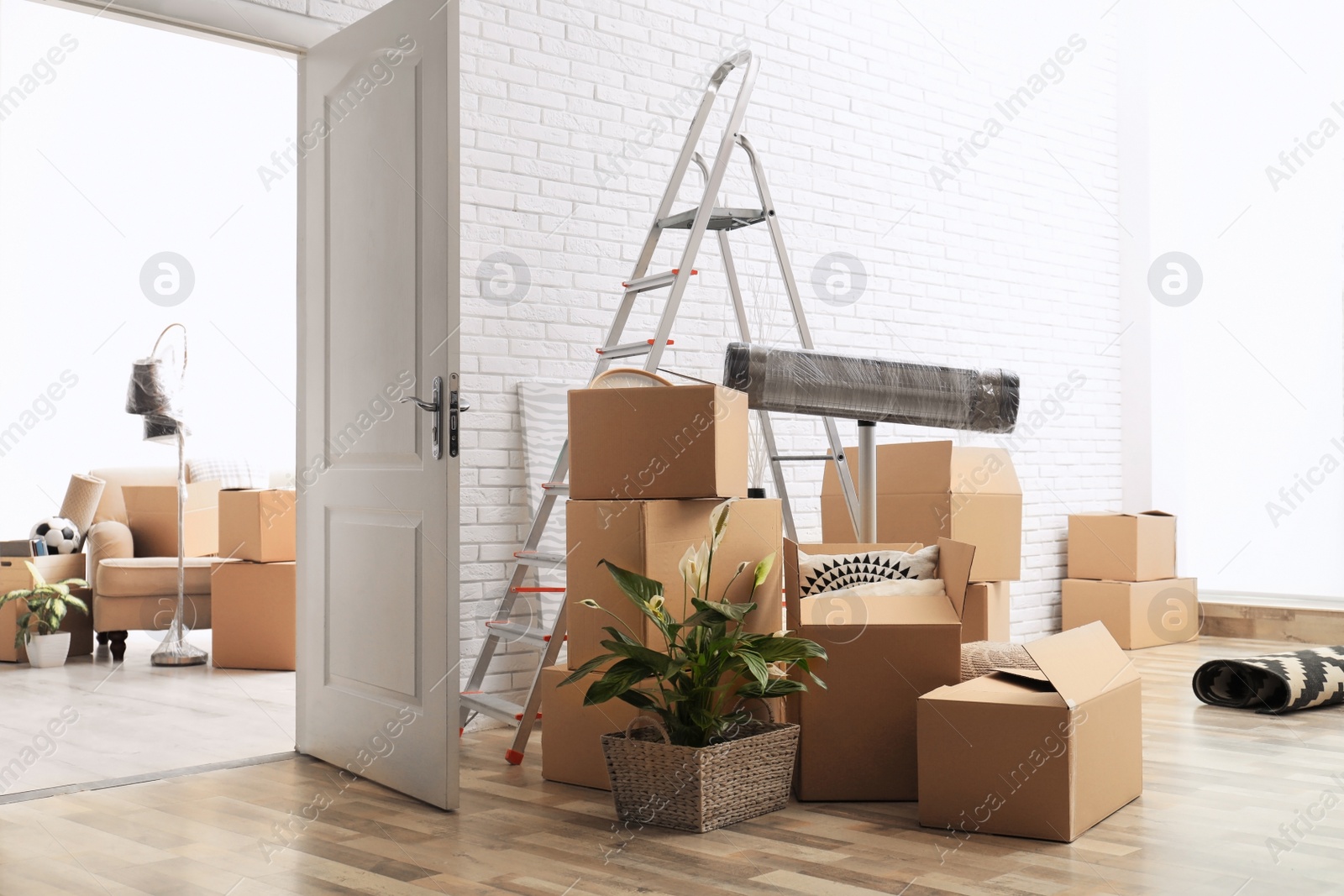 Photo of Cardboard boxes, ladder and houseplant in empty room. Moving day