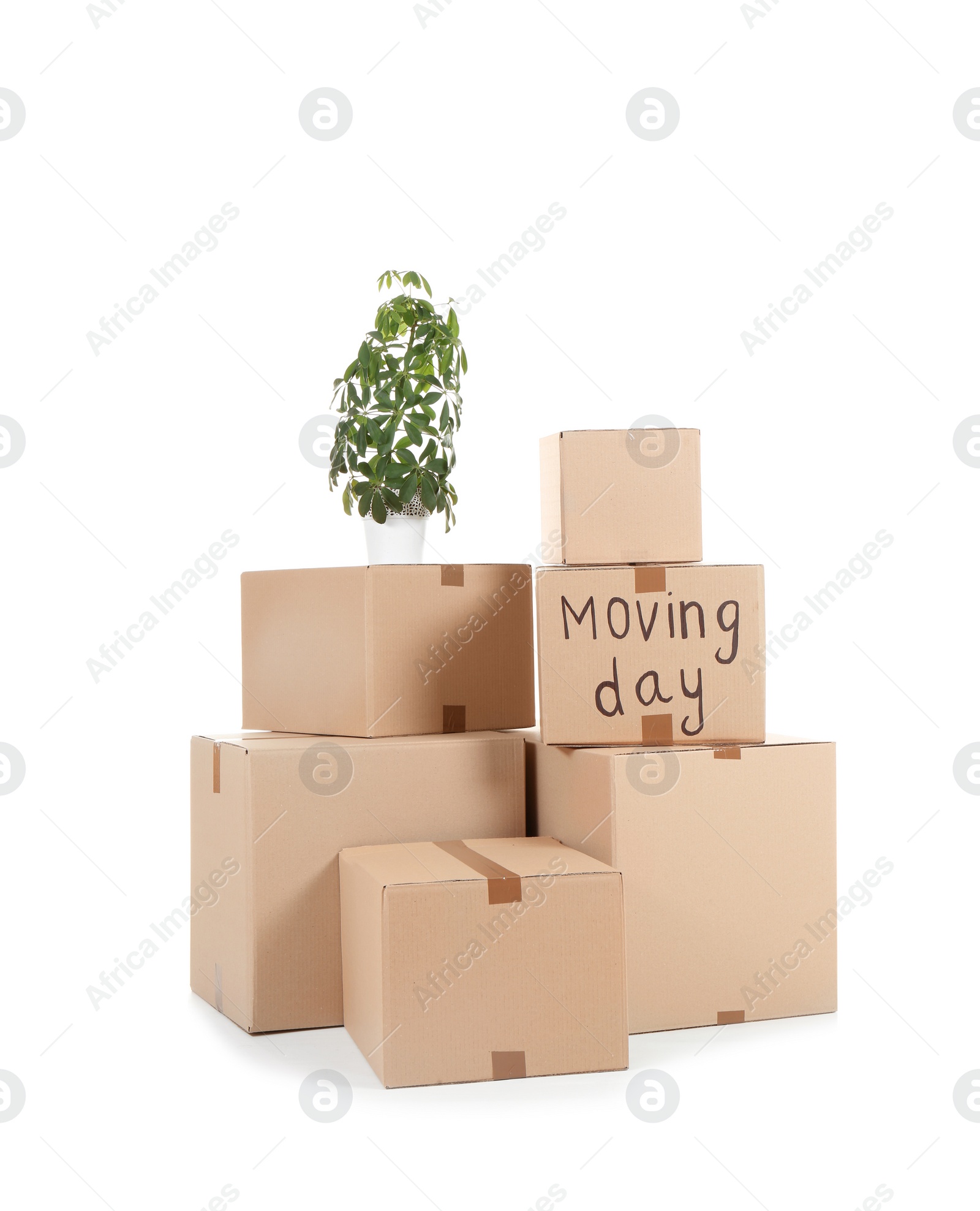 Photo of Cardboard boxes and houseplant on white background. Moving day