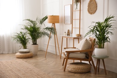 Beautiful potted house plants in stylish living room