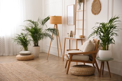 Photo of Beautiful potted house plants in stylish living room