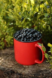 Photo of Red cup of bilberries on stump outdoors
