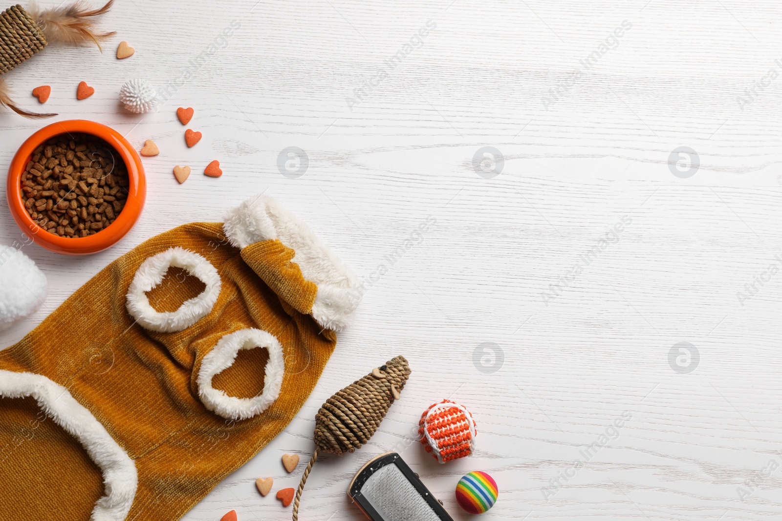 Photo of Flat lay composition with cat clothes, food and accessories on white wooden table. Space for text