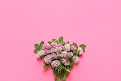 Beautiful clover flowers on pink background, flat lay. Space for text