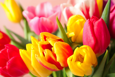 Photo of Beautiful spring tulips on light background, closeup