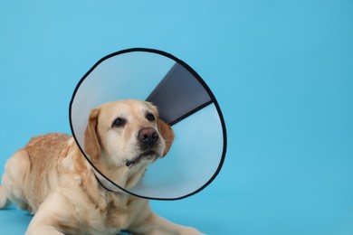 Cute Labrador Retriever with protective cone collar on light blue background