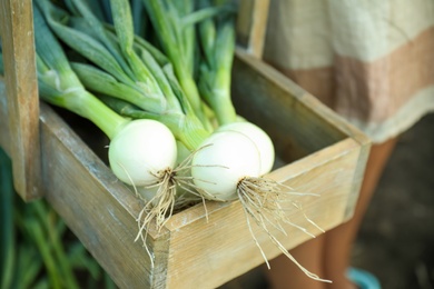 Wooden basket with fresh green onions on blurred background, closeup