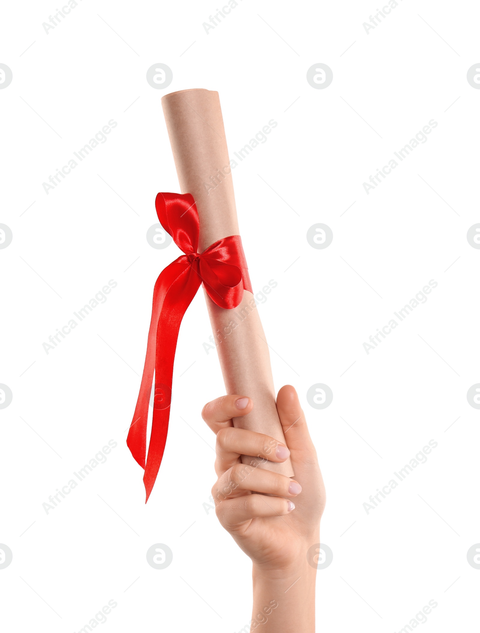 Photo of Student holding rolled diploma with red ribbon on white background, closeup