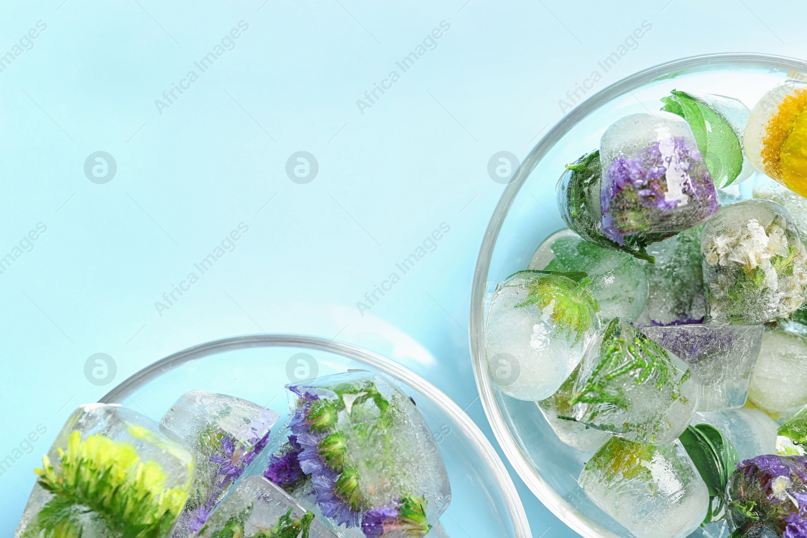 Photo of Bowls of ice cubes with flowers on blue background, flat lay. Space for text