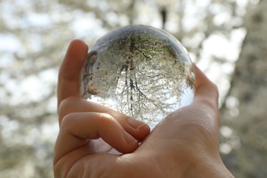 Photo of Beautiful tree with white blossoms outdoors, overturned reflection. Man holding crystal ball in spring garden, closeup