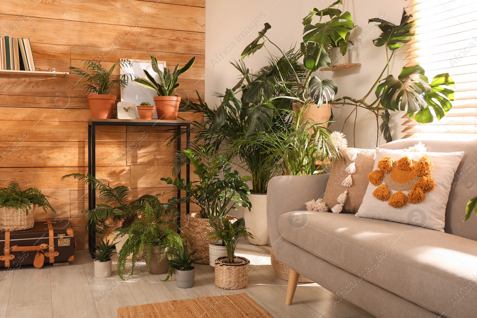 Photo of Stylish room with beautiful plants and wooden wall. Interior design