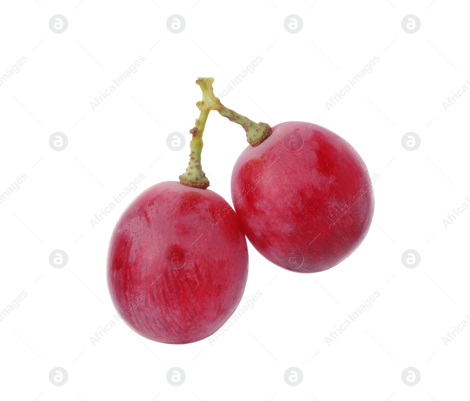 Photo of Two ripe red grapes isolated on white