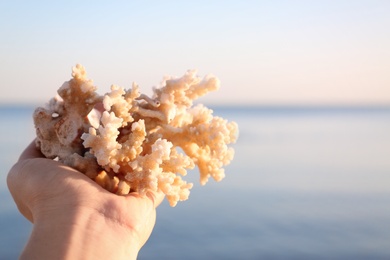 Photo of Woman holding beautiful coral on beach near sea, closeup. Space for text