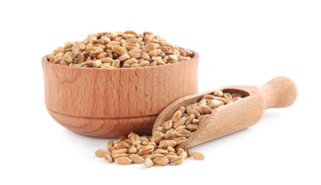 Photo of Wooden bowl and scoop with wheat grains on white background
