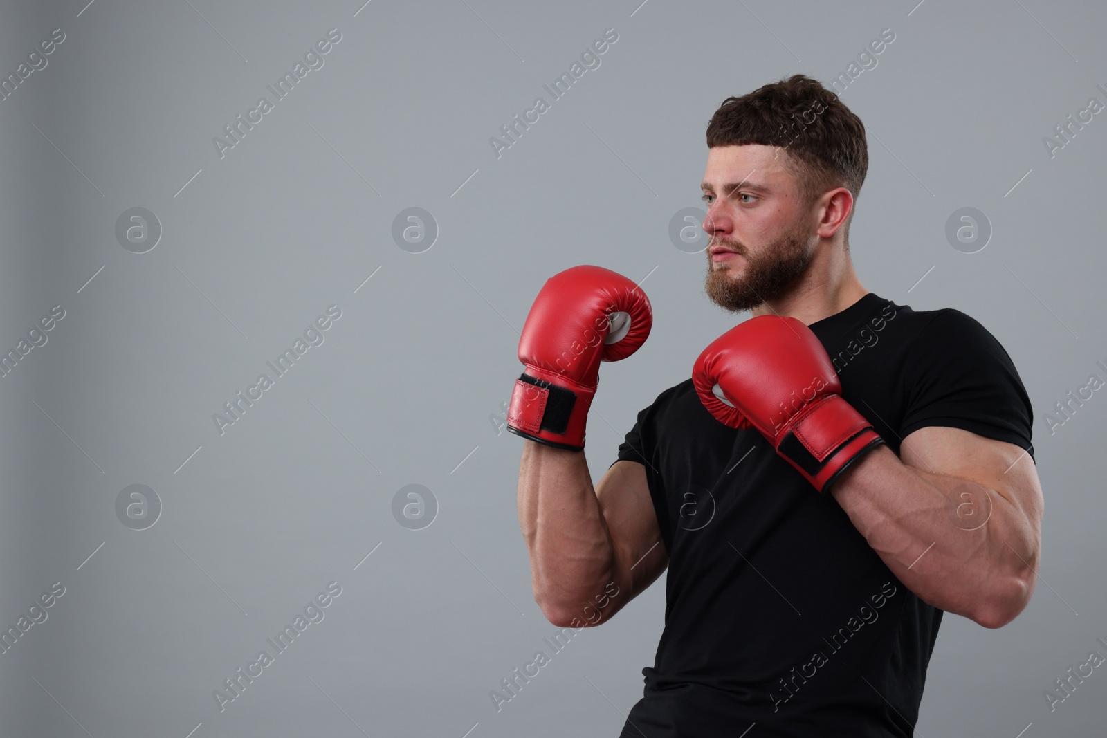 Photo of Man in boxing gloves on grey background. Space for text