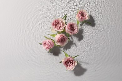 Photo of Beautiful roses in water on white background, top view