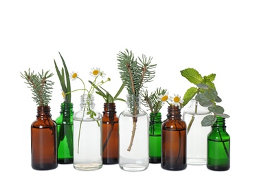 Photo of Glass bottles of different essential oils with plants on white background