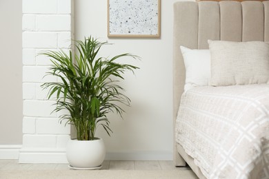Photo of Stylish bedroom interior with exotic house plant