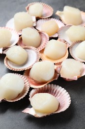 Photo of Many fresh raw scallops in shells on grey table