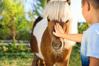 Image of Little boy stroking cute pony outdoors on sunny day, closeup