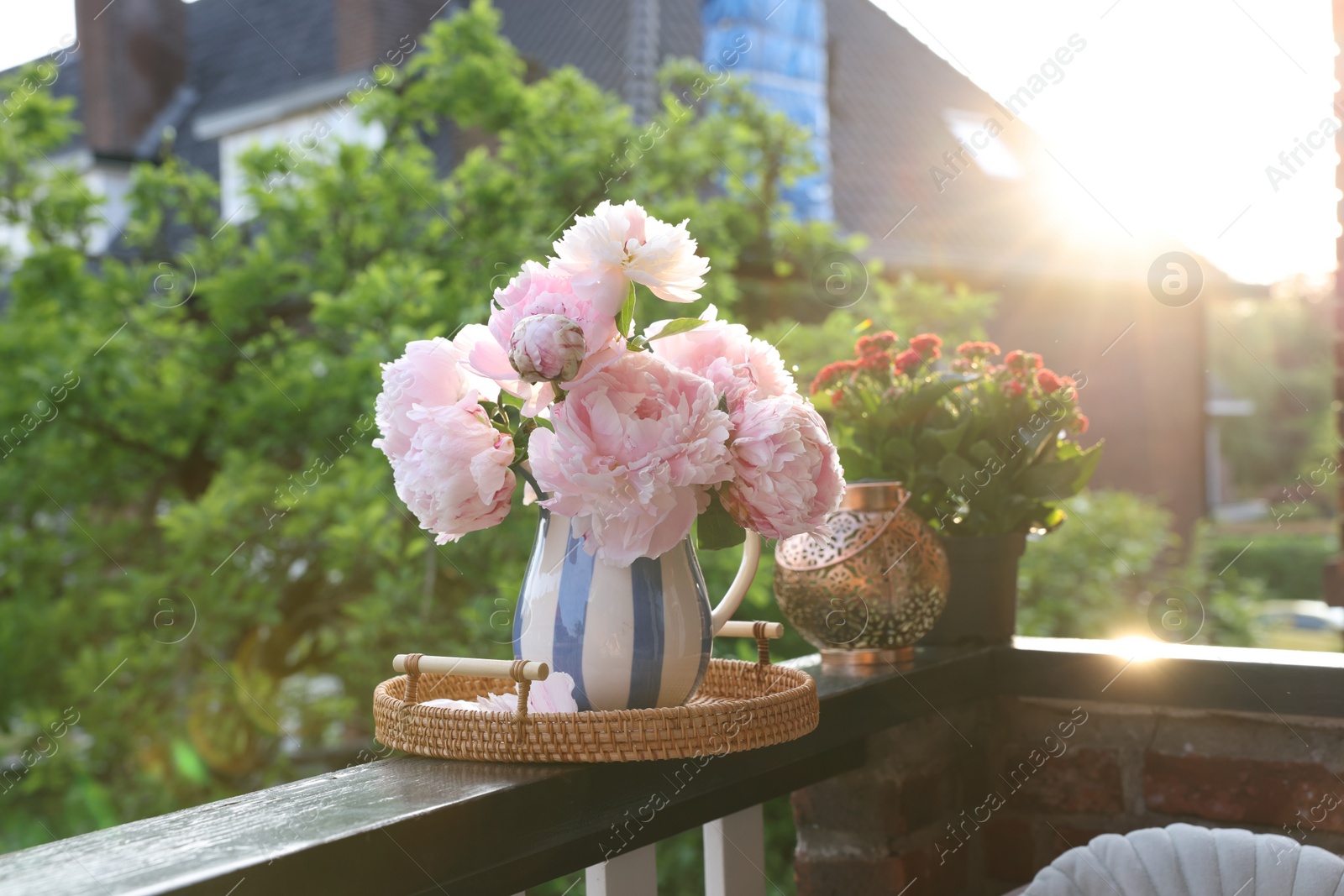 Photo of Balcony garden. Beautiful flowers on railings outdoors on sunny day