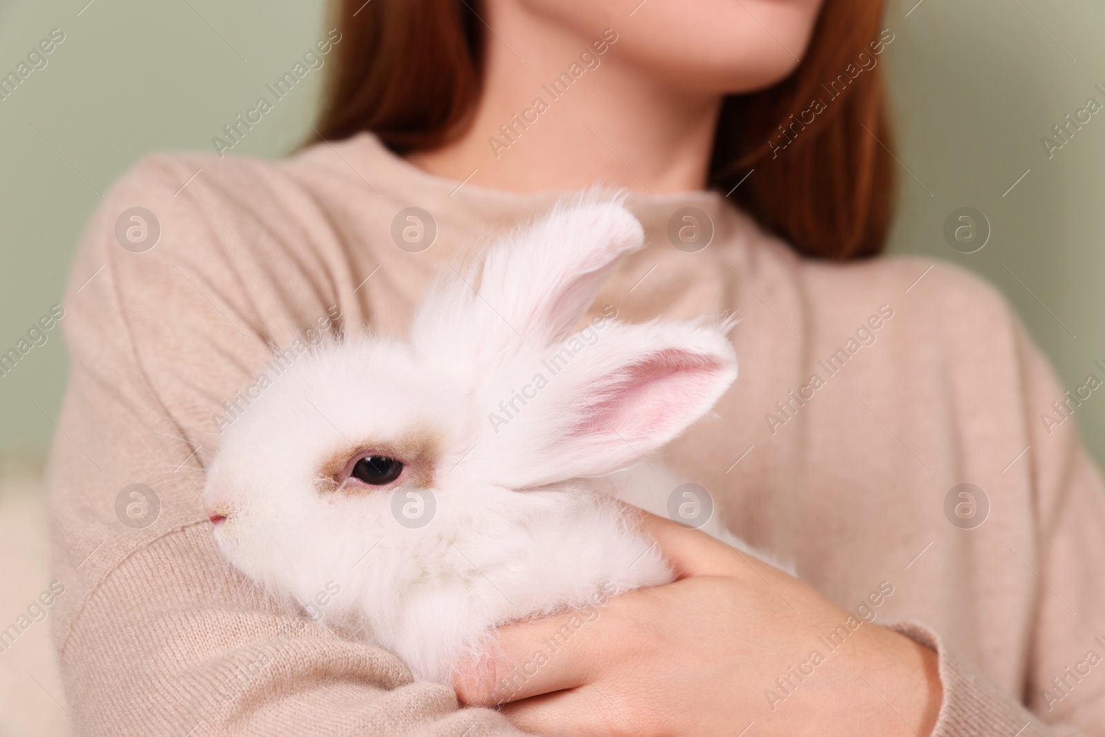 Photo of Woman with fluffy white rabbit, closeup. Cute pet