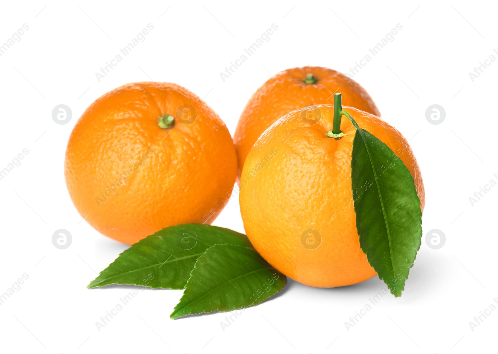 Photo of Fresh ripe oranges with green leaves on white background