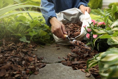 Woman mulching flowers with bark chips in garden, closeup