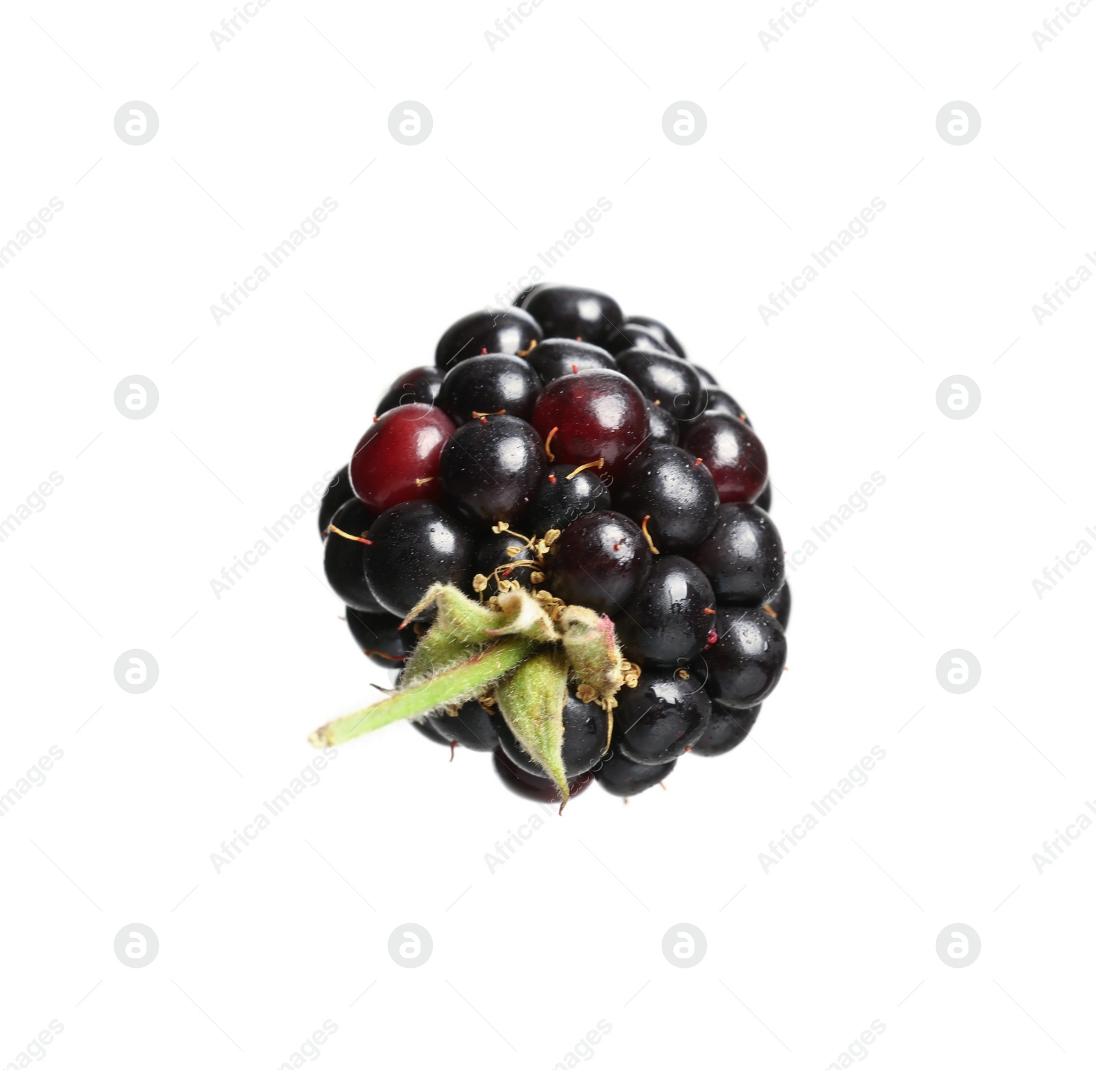 Photo of One tasty ripe blackberry isolated on white