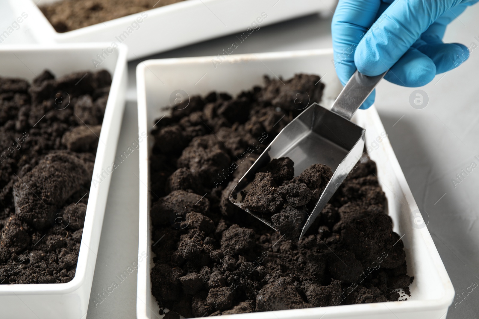 Photo of Scientist taking soil sample from container, closeup. Laboratory research