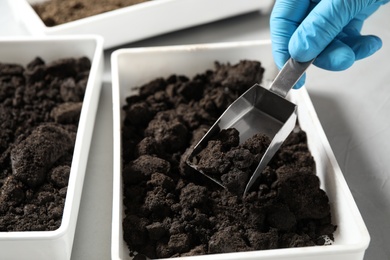 Scientist taking soil sample from container, closeup. Laboratory research