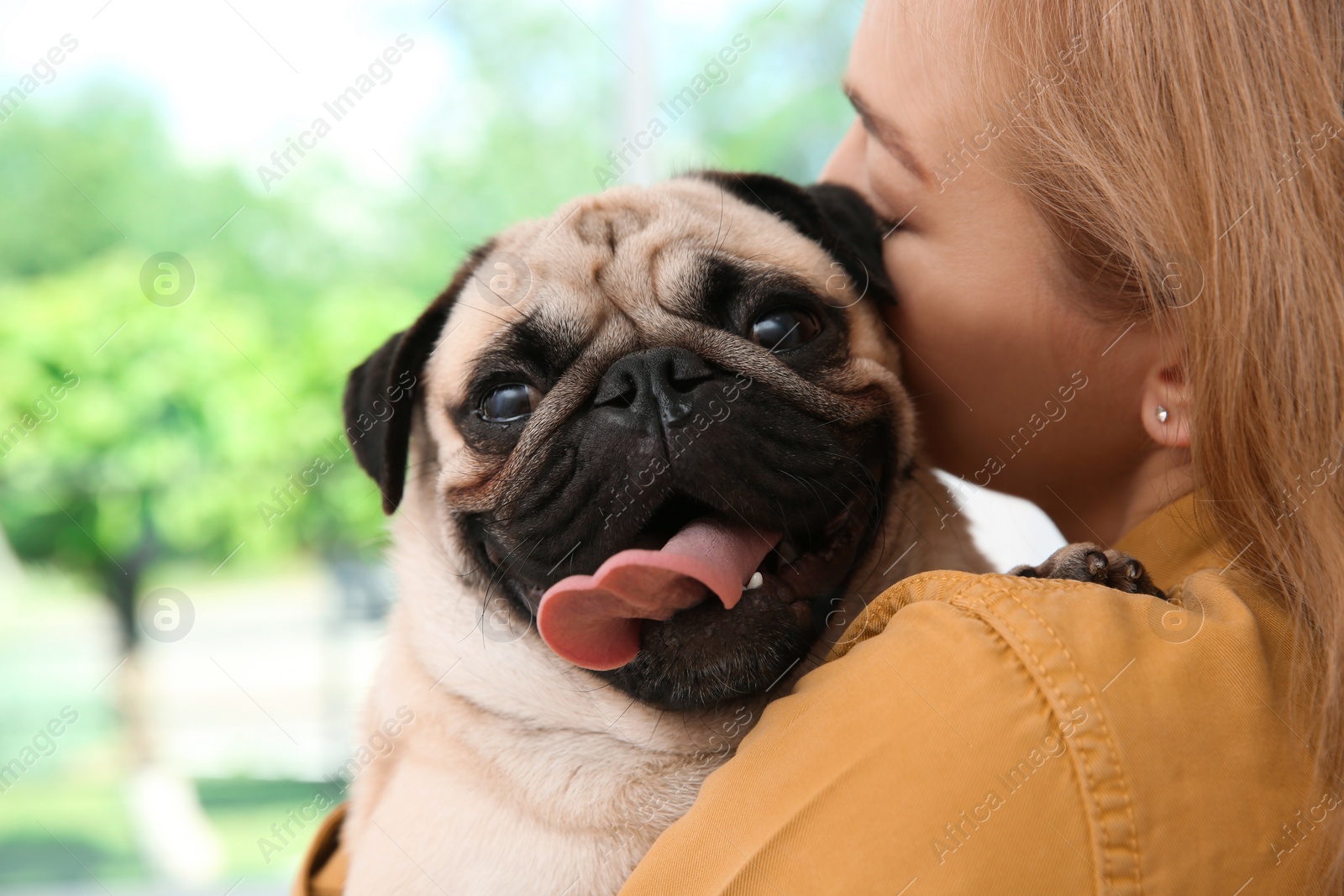 Photo of Woman with cute pug dog at home. Animal adoption