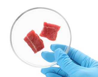 Photo of Scientist holding Petri dish with pieces of raw cultured meat on white background, top view