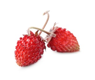 Photo of Two ripe wild strawberries isolated on white