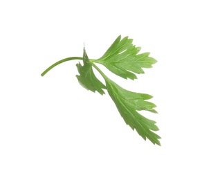 Fresh green organic parsley on white background