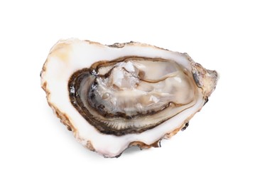 Photo of Fresh raw open oyster on white background