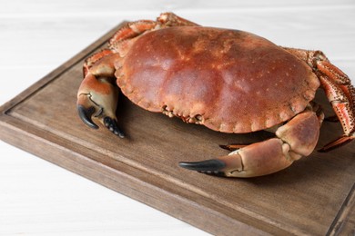Delicious boiled crab on white table, closeup