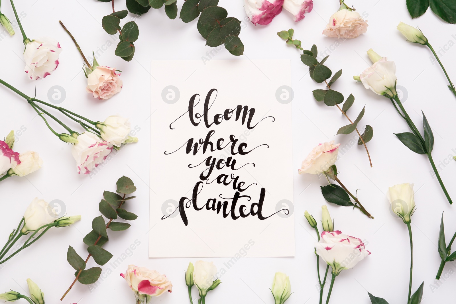 Photo of Frame of beautiful flowers and paper card with handwritten text Bloom where you are planted on white background, flat lay